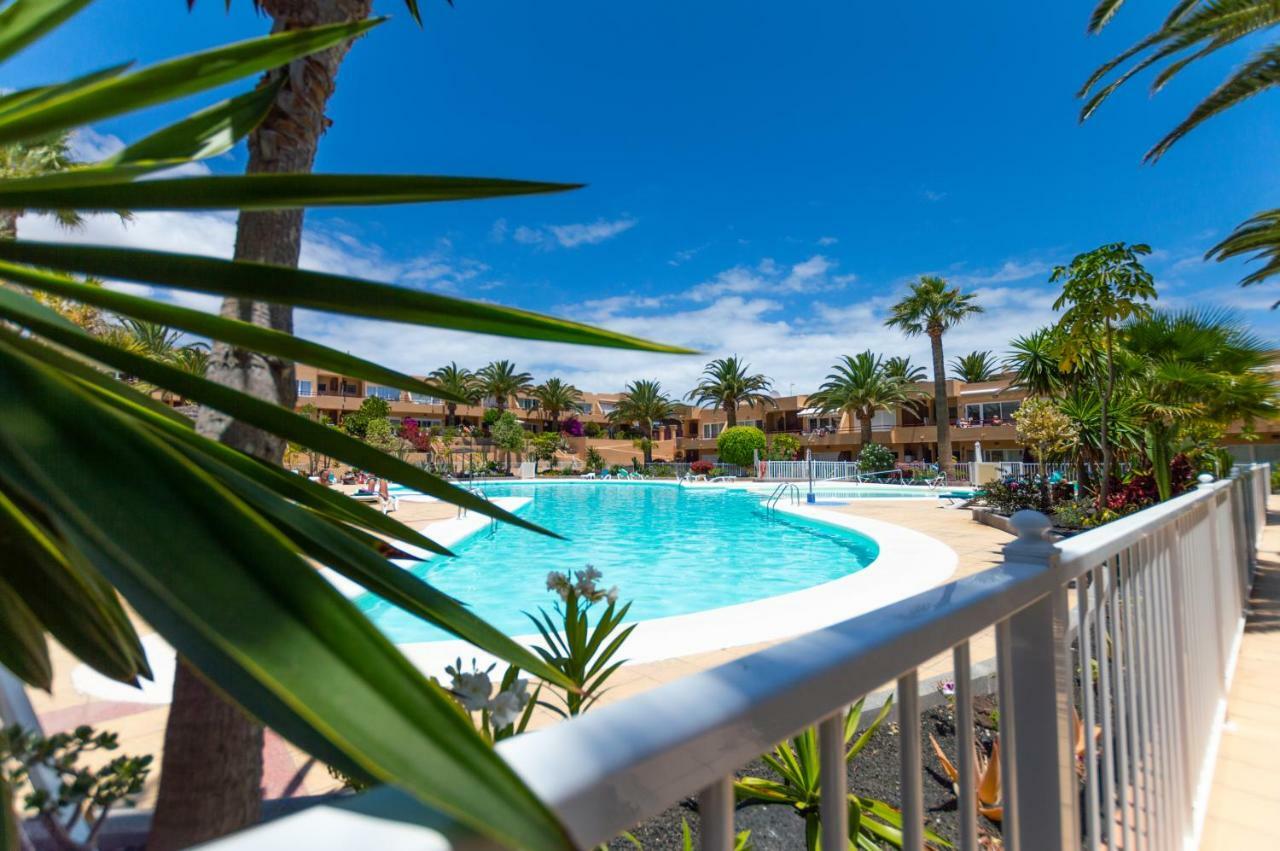 Alicebungalowpoolview-Summer Corralejo Exterior foto
